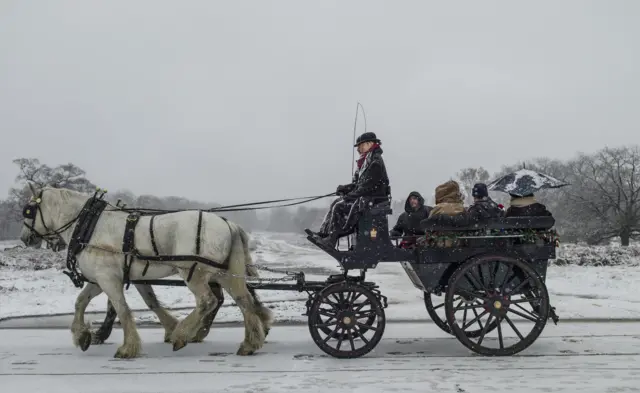 Snow in Richmond Park, London