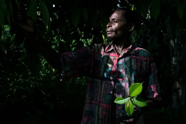 Bertin Bo, 37, a member of the Bagyeli Pygmy community poses behind his home with a tiny cocoa plant on May 26, 2017 in the Kribi region, grown thanks to the help of training received from a local NGO. There are as many as 75,000 indigenous Baka, Bagyeli, Bedzang and Bakola Pygmies people living in the rainforest areas of Cameroon.