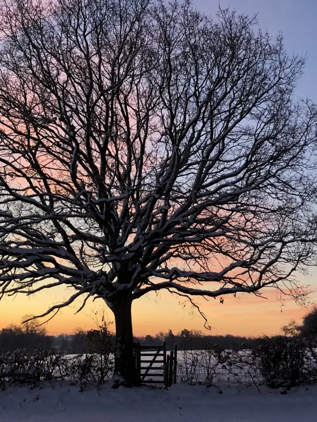 Sunrising in Worcester