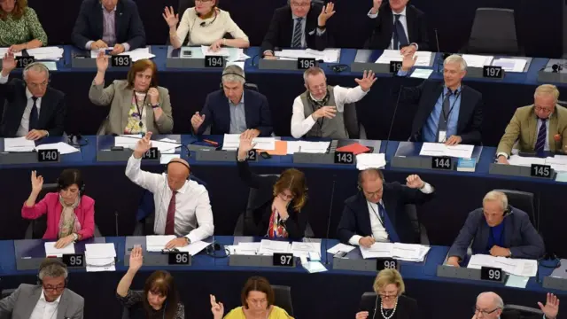 MEPs voting in Strasbourg