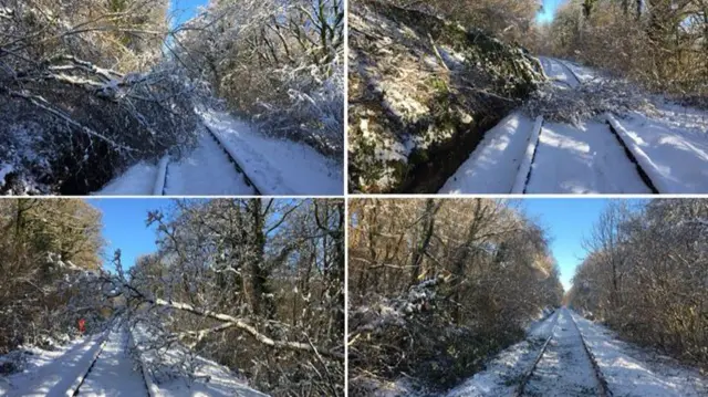 Trees down on train lines