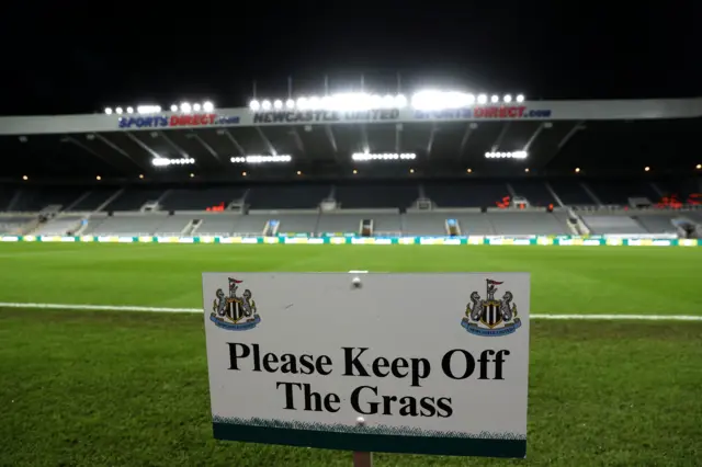 The pitch at St. James' Park