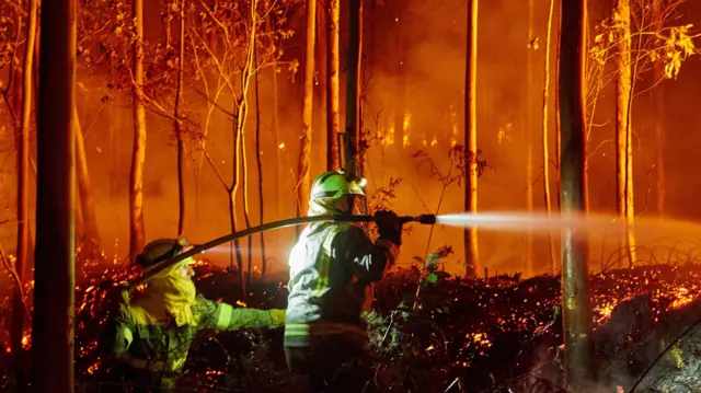 Spanish firemen try to extinguish a forest fire in Spain