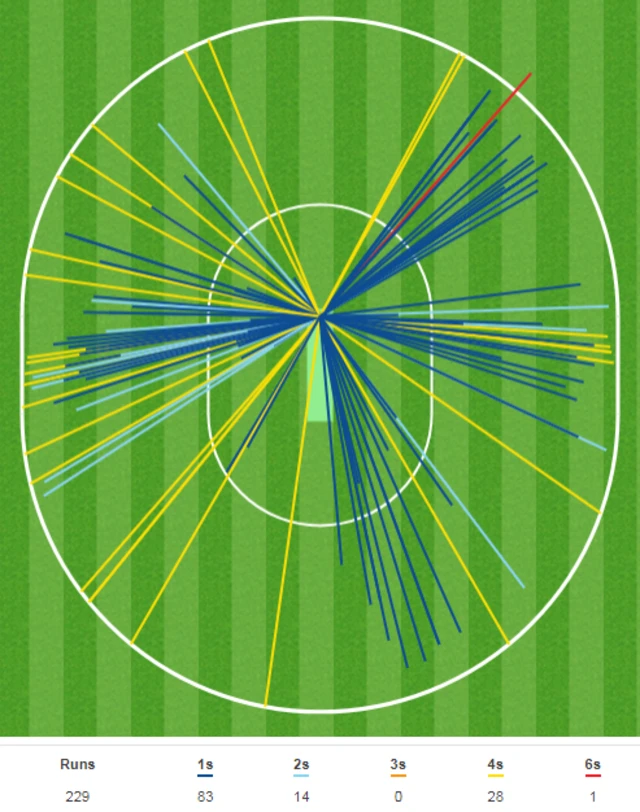 Steve Smith wagon wheel