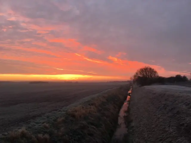 Frosty morning