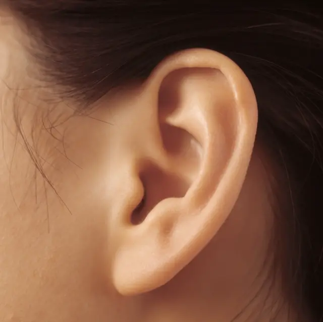 Ear