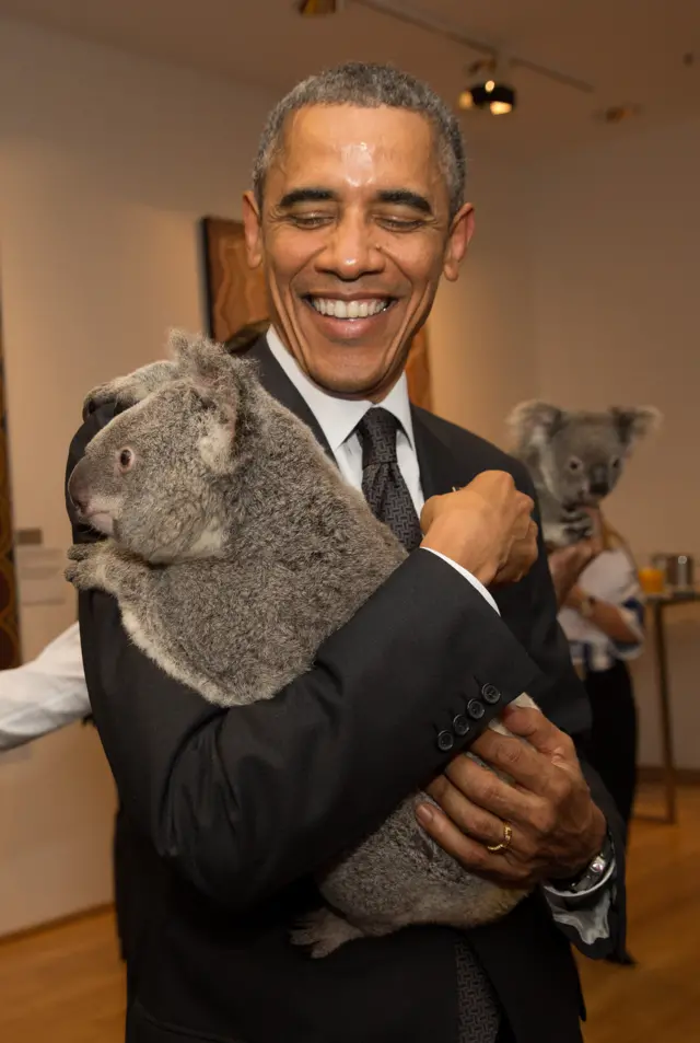 Barack Koala