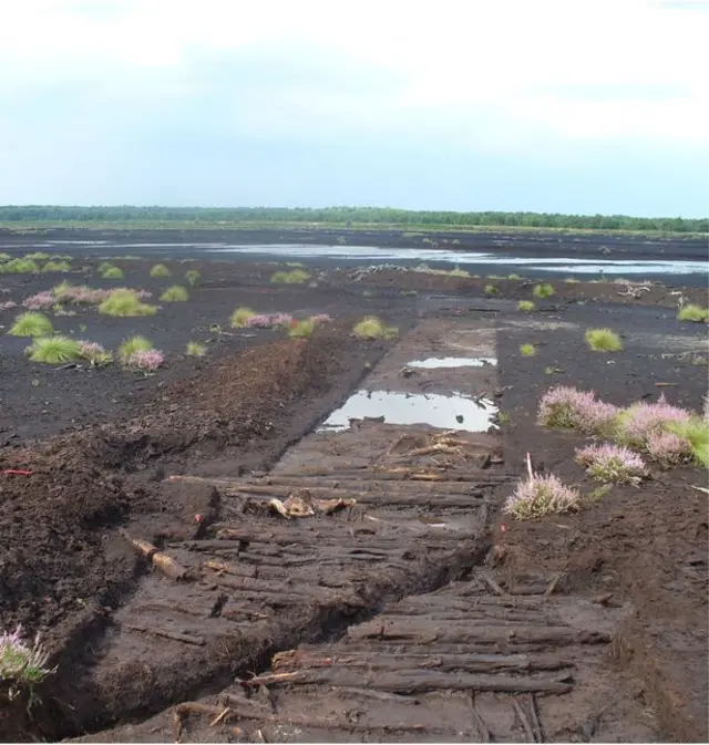 Timber trackway