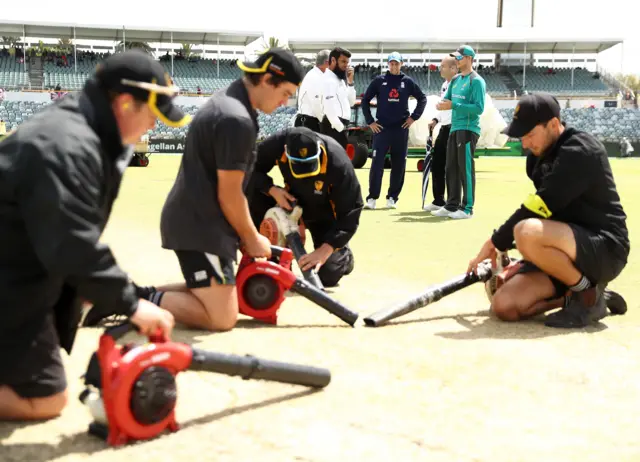 Waca pitch