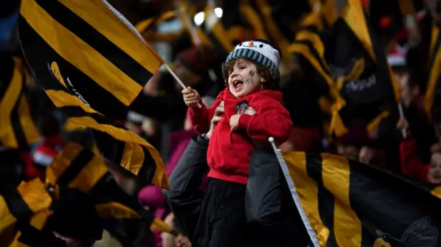 Wasps fan