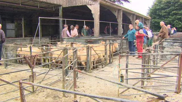 Liskeard's cattle market