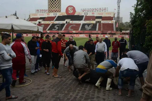 Staff at Al Ahly in Egypt sacrifice an ox