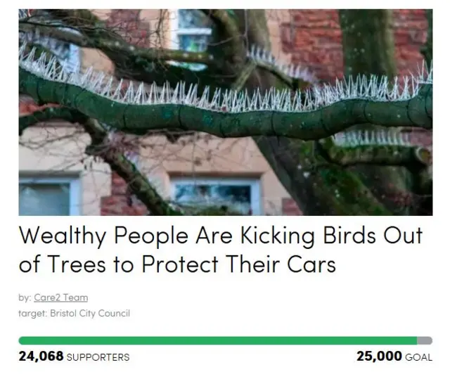 Pigeon petition