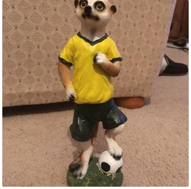 A meerkat in an Australia soccer kit