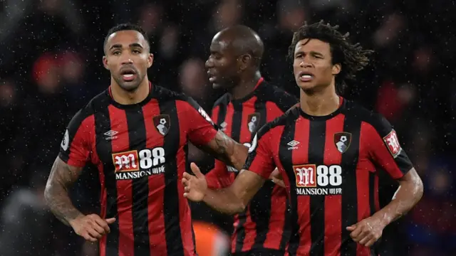 Callum Wilson celebrates