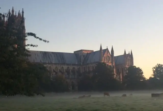 Beverley Minster with cows in a misty field