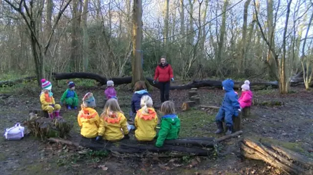 Children at a woodland class