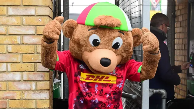 Harlequins mascot Harley Bear