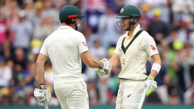 Shaun Marsh and Tim Paine