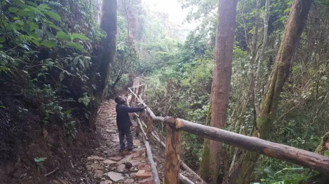 A man looks at trees in a forest in Burundi