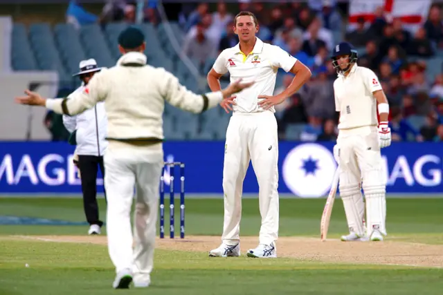 Josh Hazlewood and Steve Smith