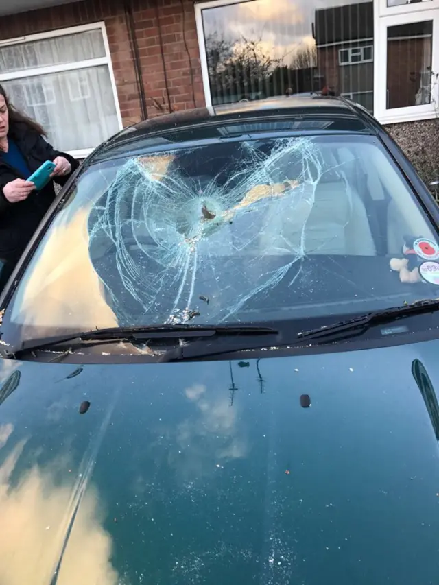 tree fall car