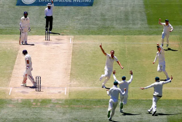 Josh Hazlewood celebrates wicket of Joe Root