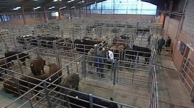 Louth Livestock Market