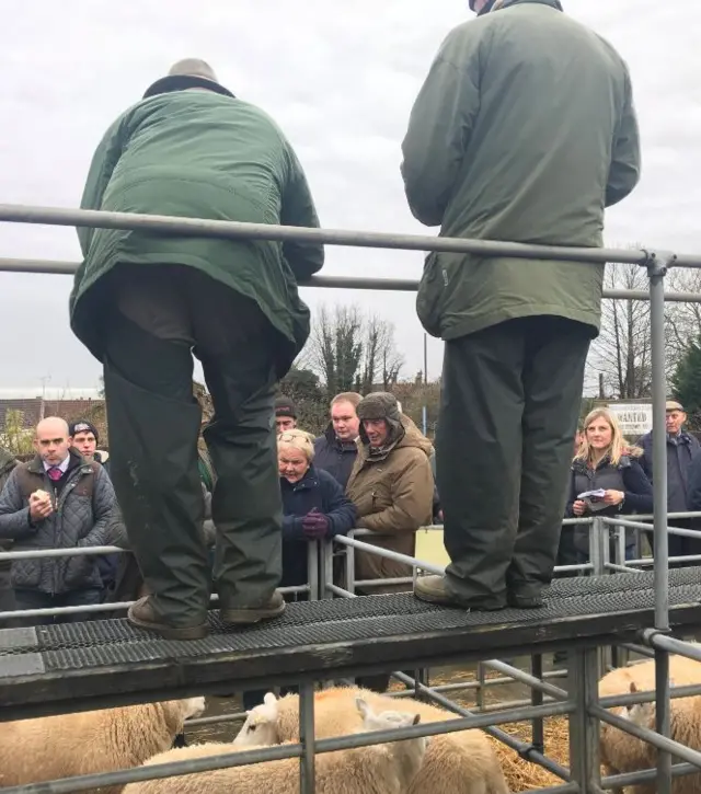 Louth Fatstock Show