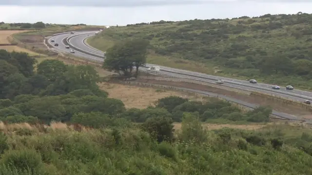 Road and heathland