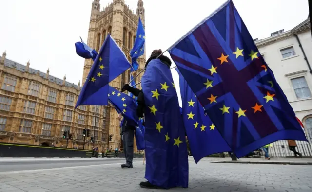 Woman holding EU and Union flags outside Parliament