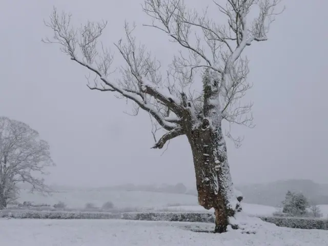 Snow in Ellesmere