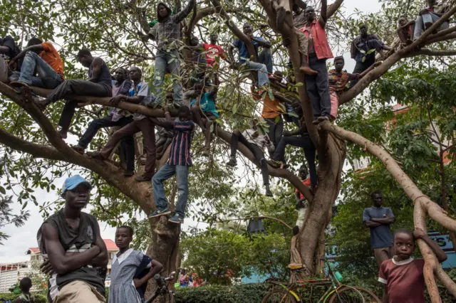 Supporters watch from a tree as government figures speak out against the upcoming election at a funeral service for three men killed by the police in a protest the week prior, on October 20, 2017 in Bondo, Kenya