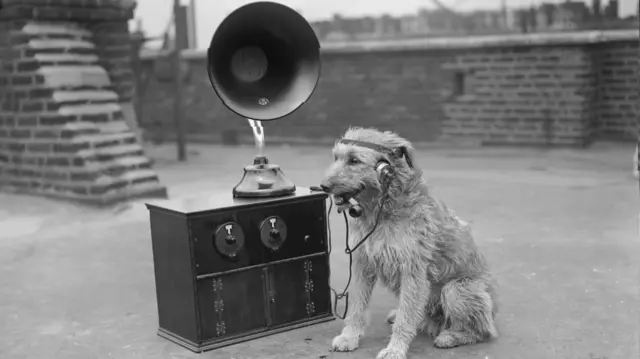 Dog listening to gramophone