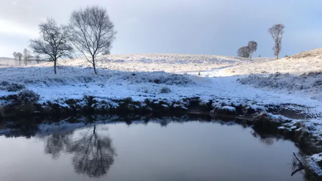 Snow on Cannock Chase