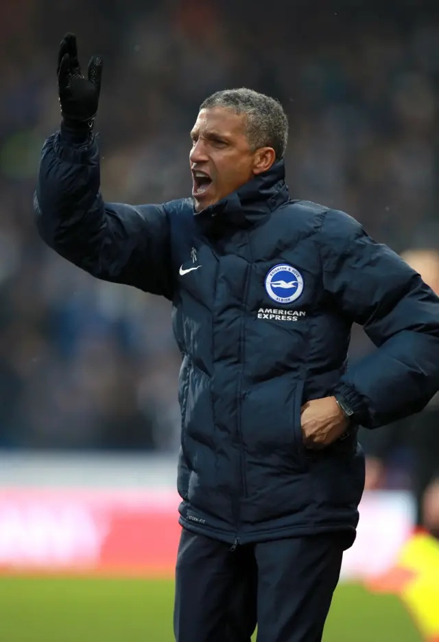 Brighton manager Chris Hughton