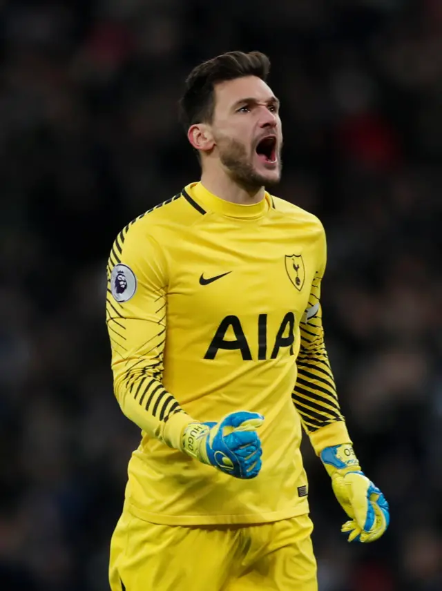 Hugo Lloris celebrates