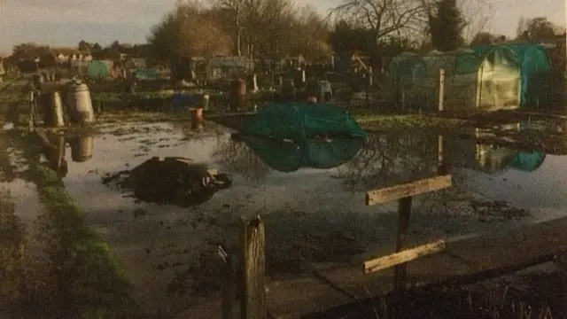 Flooded allotment
