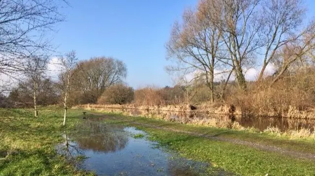 Field near Newport