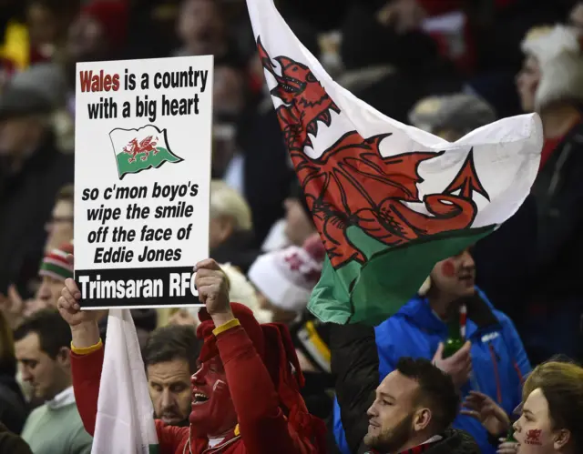 Wales fans