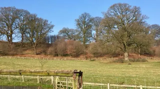 Field near Newport