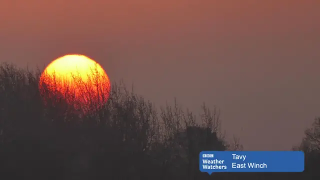 Early morning winter sun rising over trees