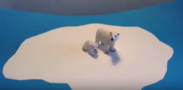 Polar bear video