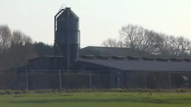 Chicken sheds at Bridge Farm