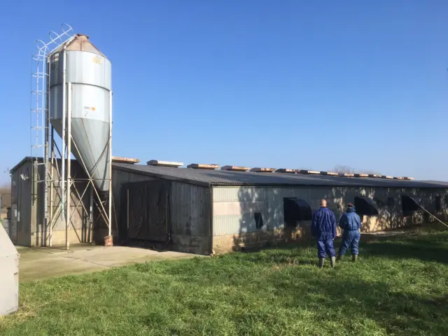 Defra official standing by chicken rearing shed