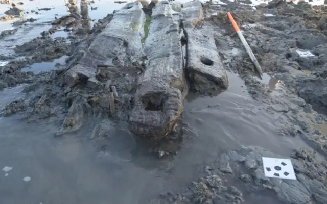 Prehistoric timbers