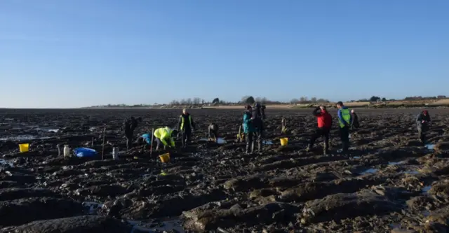 Countryfile film crew on the mud flat at Mersea Island