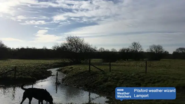 River and dog in Lamport