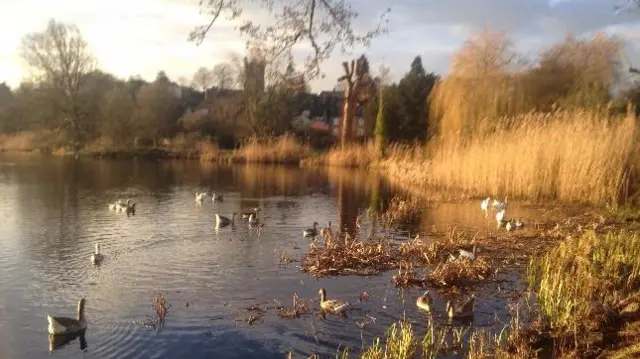 Ellesmere