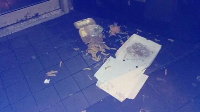 Litter on floor